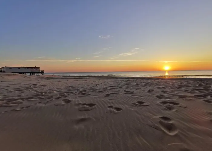 Vakantiehuis Zomerhuis De Jong