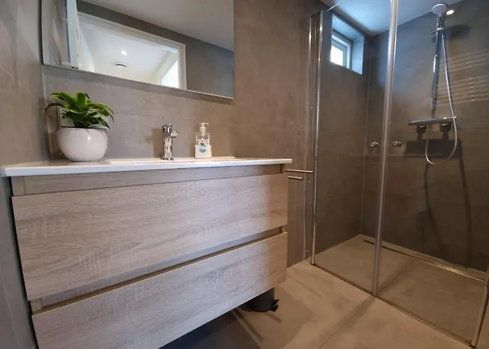 Vakantiehuis Zomerhuis De Jong